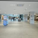 이천파티마병원 | 임신 21주 정밀 초음파 후기 - 창원 파티마 병원 산부인과