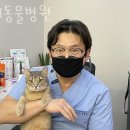 서울동물병원 앞 이미지