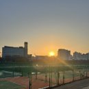 야탑테니스장 이미지