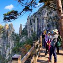 동해시-12 이미지