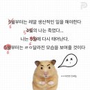 강김만두 | 벌써 여름 예고편
