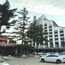 홍천샬레 | 용평리조트 드래곤밸리호텔 슈페리어 패밀리 트윈룸 후기