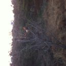 황보농장 이미지