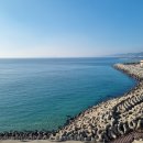 의료법인 행복한의료재단 숲속요양병원 | 7번 국도 끝에서 만난 평온, 왜 많은 분이 멀리서도 울진군 후포까지 부모님을 모셔올까요?