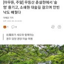 在獨화가 세오와 함께하는광주 담양 광양 미술 여행 이미지