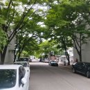 이마트24신연수 | 연수구 임장 후기 (동춘동 / 연수동)