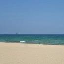 망상리조트 자동차캠핑장 이미지