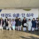 용인대 리더 태권도 이미지