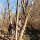 개화영농조합법인 이미지