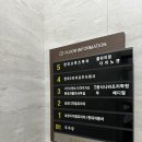다이노캣클라이밍짐