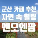 대야팜 | 군산 엔오엔팜 후기｜군산 여행에서 꼭 가볼만한 곳