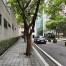 아이캔몬테소리유치원 | 이중언어 몬테소리 학원 BCMA 상담, 투어 후기｜29개월 아기 엄마의 리뷰