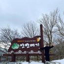 안반데기 목장 | 강릉 안반데기 가는길 난이도와 3월 실제 방문 후기(눈 상태 공유)