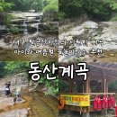 대구 아이와 여름철여행 추천 장소 동산계곡 최신 후기 및 주차 취사정보
