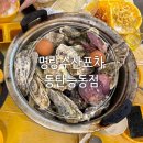 사계절 수산 | 해산물포차 사계절 야장이용 가능 동탄 no.1 횟집 키조개관자삼합 통영석화찜 후기 (명량수산포차)