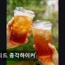 노티드종각하이커