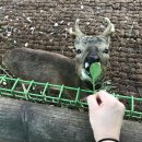 촌촌해녀촌 이미지