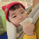 와이즈쿡