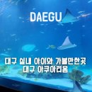 신세계 빌리아드 레져클럽 | 대구 아이와 실내 가볼만한곳 대구 아쿠아리움 주차, 공연 스케쥴, 요금 할인 팁
