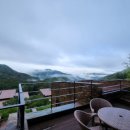 포레스트리솜 이미지