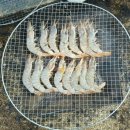 백련캠핑장
