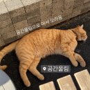 [아트센터달]신명나는 우리가락 아랑 고고 장구(목)13:00 | 벌써 상반기가 지났다구?!_상반기 시즌음악회 총결산!
