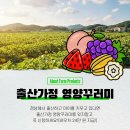 경남 출산가정 영양꾸러미 신청후기, 임산부 농산물 안되신 분들 신청하세요!