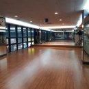 헬로우PT 이미지