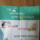 로컬마케팅협동조합해드리오