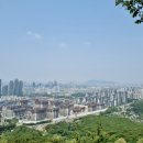 심기동 김밥 이미지