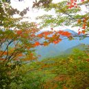 가을과 어울리는 발라드 모음곡 이미지