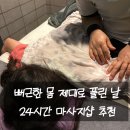 세븐일레븐유성디티비안S점 | 관평동마사지 유성구마사지 신중국전통마사지 대전유성점 후기