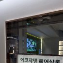 롯데미용실 네이버블로그