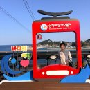 박물관카서비스 | 🎫삼척투어패스 솔직솔직후기｜삼척해상케이블카·이사부독도기념관 포함 여행후기