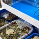 김사장아구찜 | 수락산역 맛집 싱싱식당에서 싱싱한 해물아구찜 먹고 온 후기 ft. 수락산 아구찜 맛집