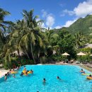 메기의 추억 이미지