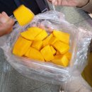 참좋은여행㈜ | 중국 상하이 패키지여행 1일차 일정 공유ㅣ참좋은여행 3박4일패키지 후기