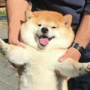 신전당구장