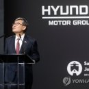 meta plant 이미지