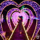 러브트레인