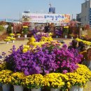 서구청 옥상생태공원 이미지