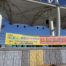 홍천읍생활체육공원 티스토리