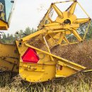 의성중부농협 안평지점 이미지