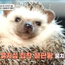 따봉 이미지