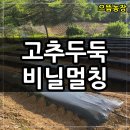 하이그린 농장 이미지