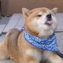 연세준내과의원 이미지