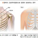 가운데