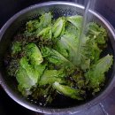 신용순농장 Daum카페