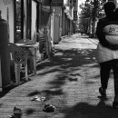 대둔산로 이미지