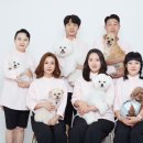 포레멍 이미지